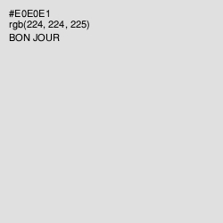 #E0E0E1 - Bon Jour Color Image
